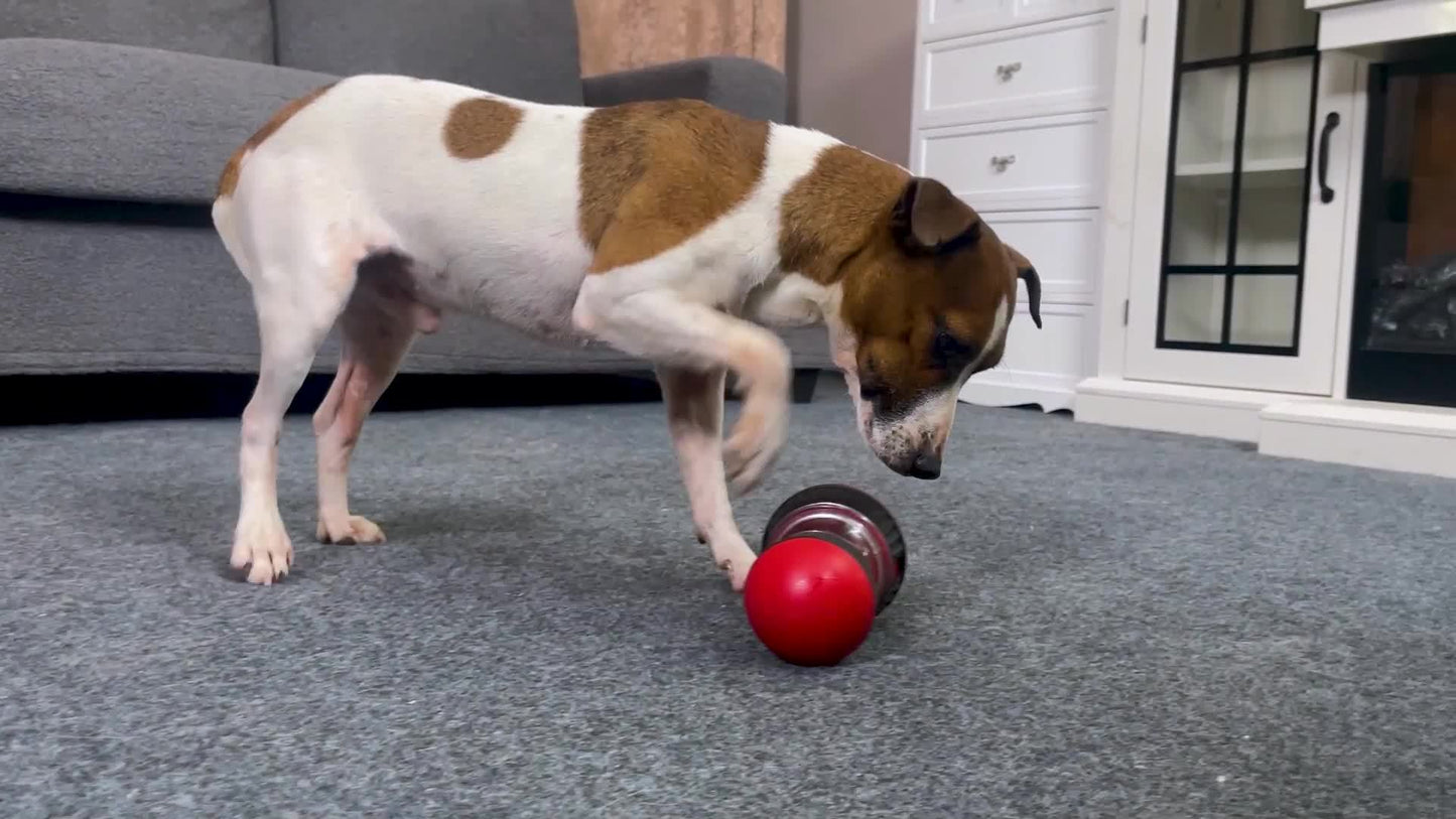 Interactive Ball-Shaped Dog Toy - Slow Feeding, Food Hiding, and Educational Play - Durable and Fun Pet Accessory