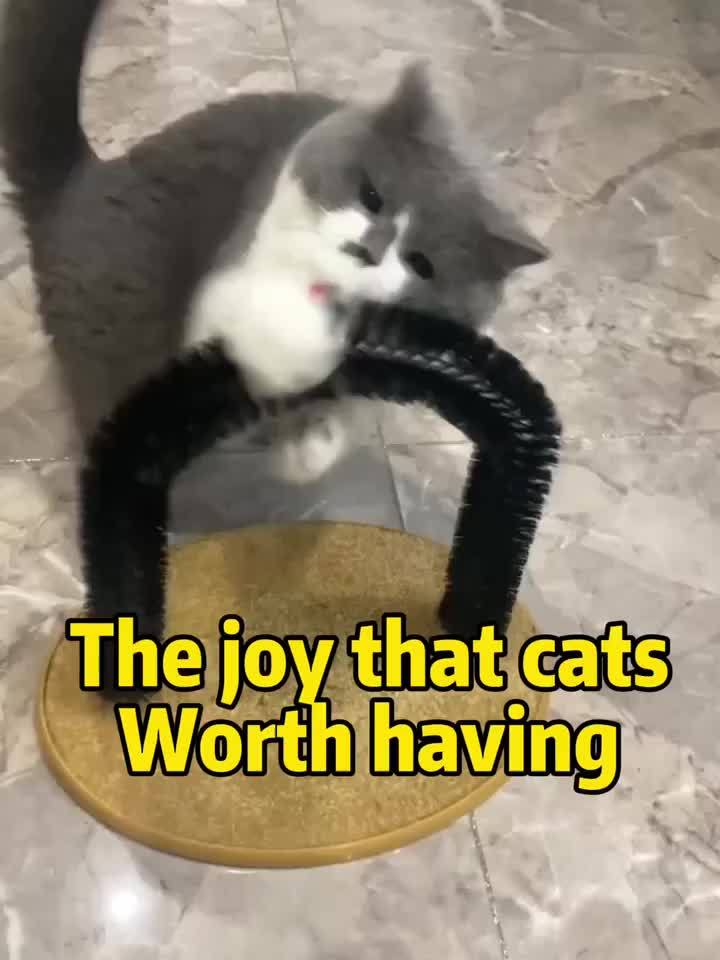 Multifunctional Cat Arch Grooming and Massage Toy - Hair Brush Scratching Toy for Cats and Kittens, Interactive Pet Supply