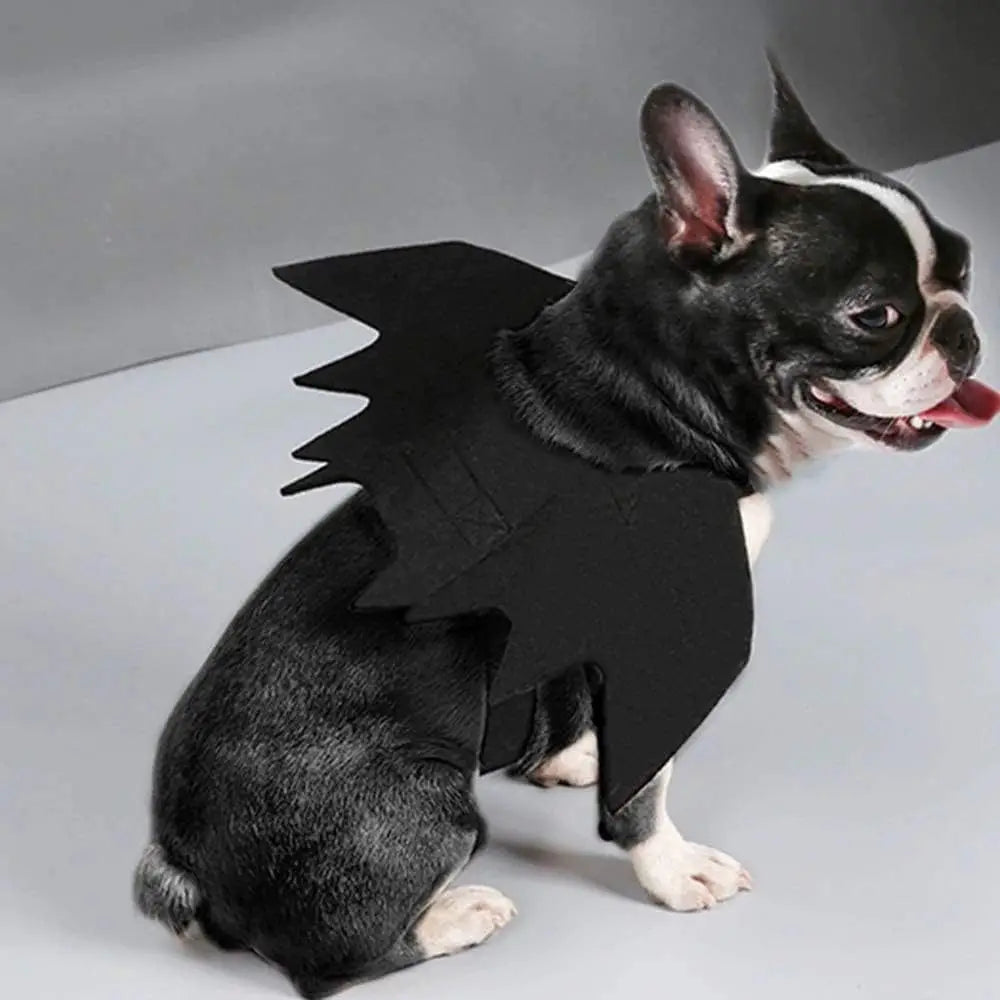Cute Cat Bat Wings Costume - Black Pet Cosplay Safety Harness for Halloween Party Decoration & Dress Up