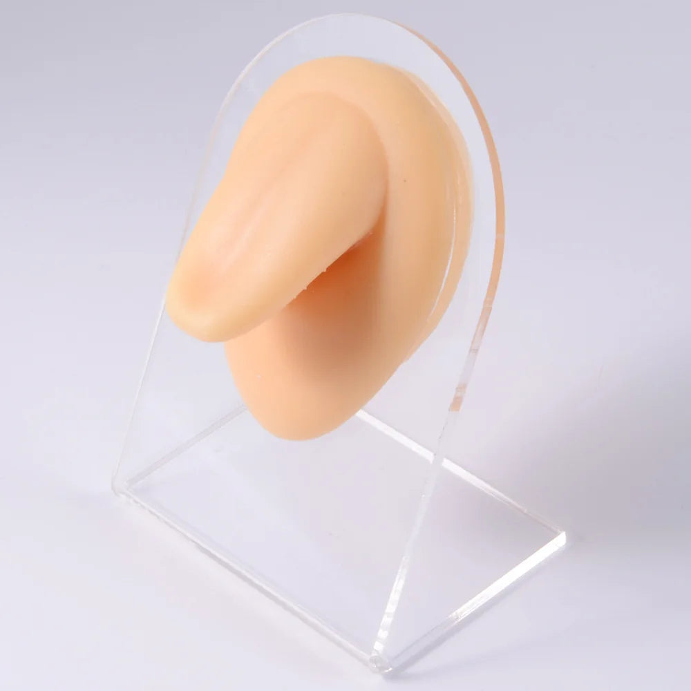 Soft Silicone 1:1 Simulation Body Piercing Practice Model – Ear, Nose, Navel & Nipple Display Stand for Jewelry Training & Teaching Accessories