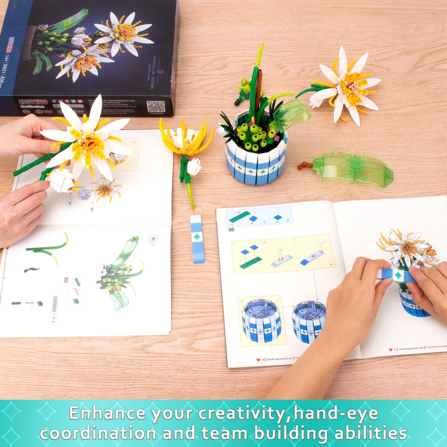 EDUCIRO Piphyllum Flower Bouquet Building Set – Botanical Bonsai Building Toy for Adults & Kids, Perfect Christmas Gift