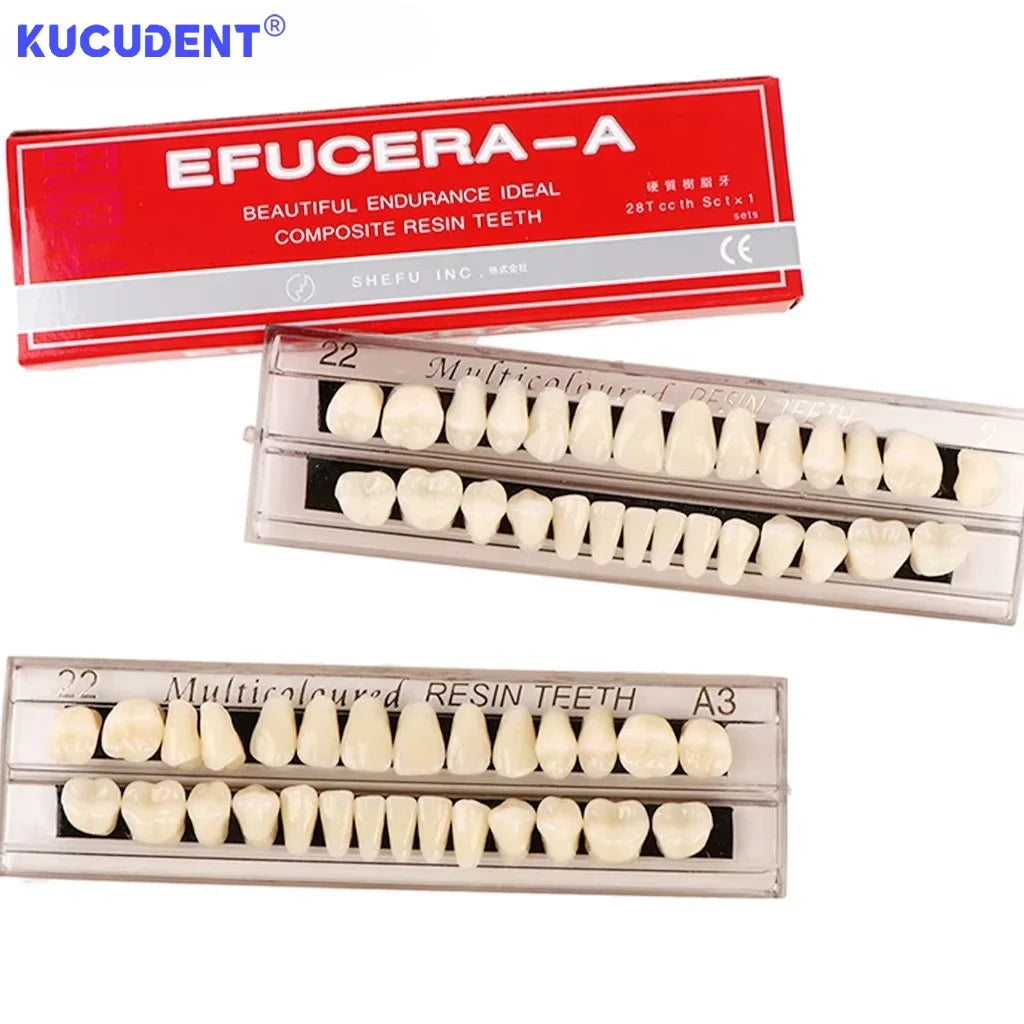 28-Teeth Resin Denture Set – Synthetic Dental Teaching Model for Education, Training & Permanent Teeth Practice Material