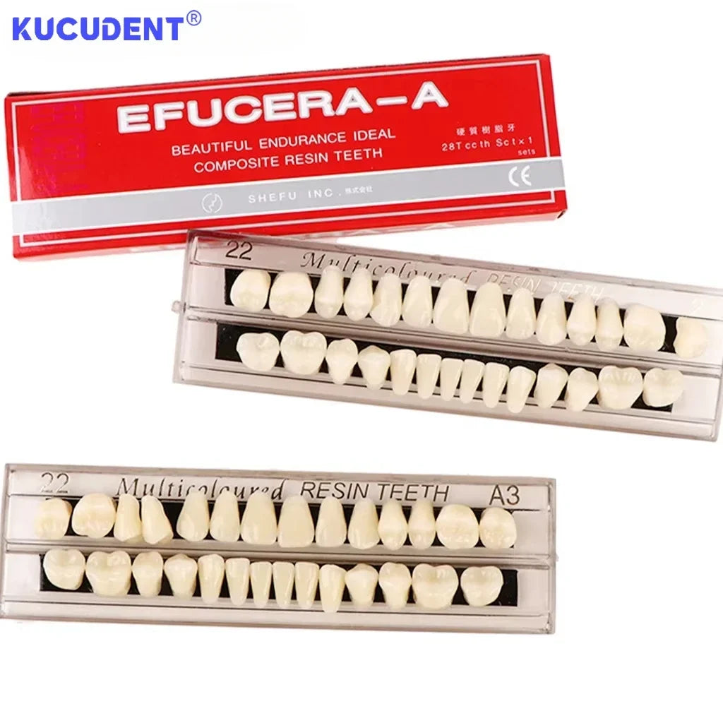 28-Teeth Resin Denture Set – Synthetic Dental Teaching Model for Education, Training & Permanent Teeth Practice Material