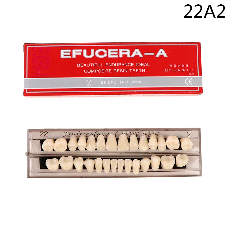 28-Teeth Resin Denture Comparator – Dental Mirror & Bleaching Plate for Dentistry Education & Research