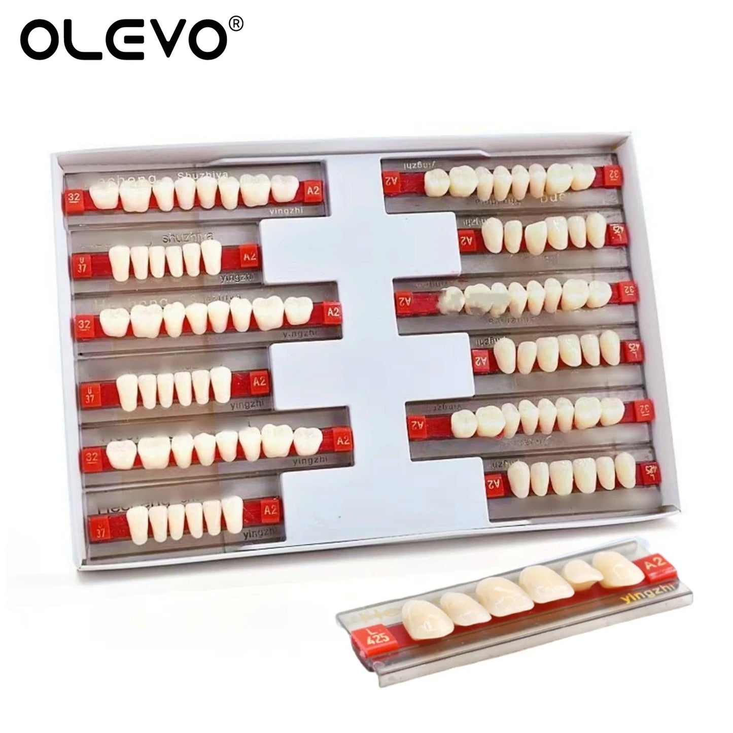 84PCS Dental Acrylic Resin Denture Teeth Set – Full Mouth Upper & Lower False Teeth Model (A1/A2/A3, S/M/L Sizes)