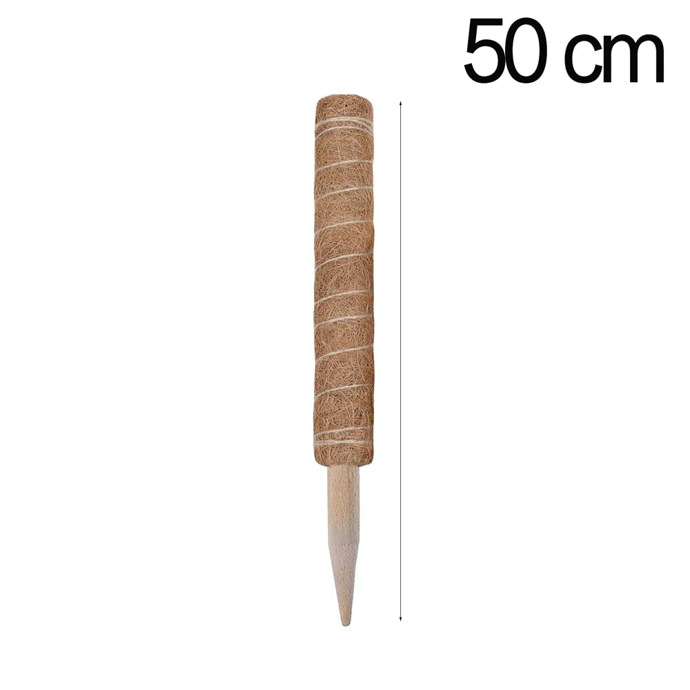 48554997874995
