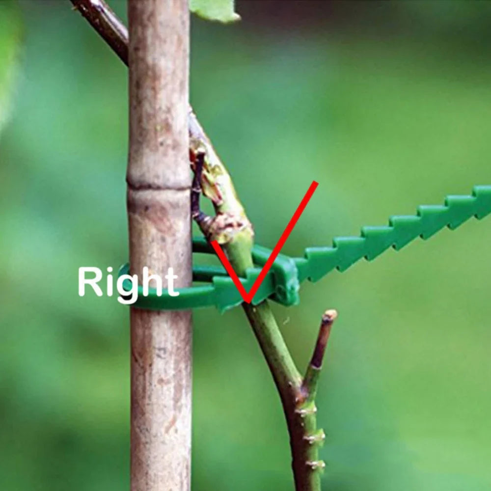 50pcs Adjustable Plastic Plant Cable Ties - Reusable Garden Tree Climbing Support for Plant Vine and Tomato Stem - Plant Cable Clips