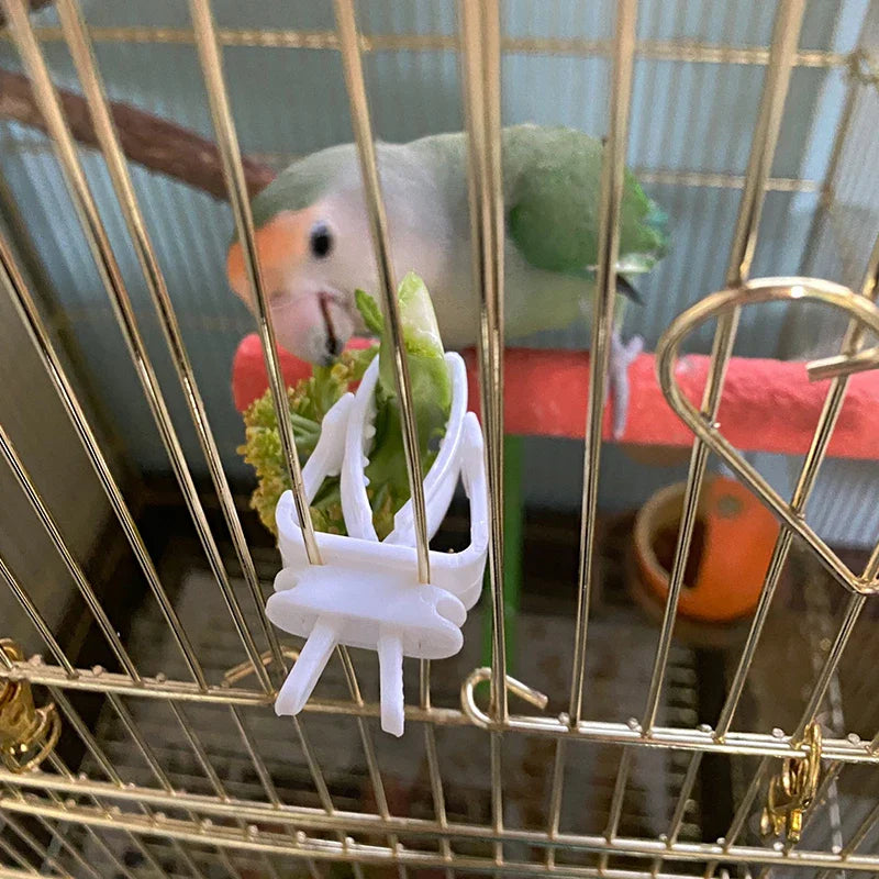 Cute Small Pet Bird Food Holder: Parrot Fruits Vegetables Clip with Cuttlefish Bone Feeder Device - Bird Cage Accessories for Oiseaux