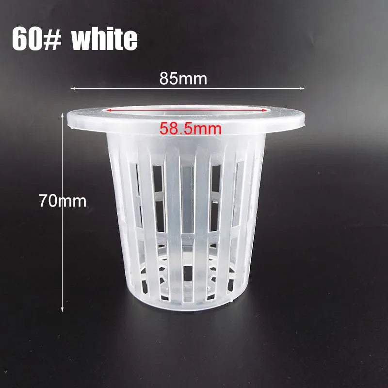 50pcs Hydroponic Mesh Net Baskets — Soilless Plant Nursery Cups for Veggie & Clone Growth