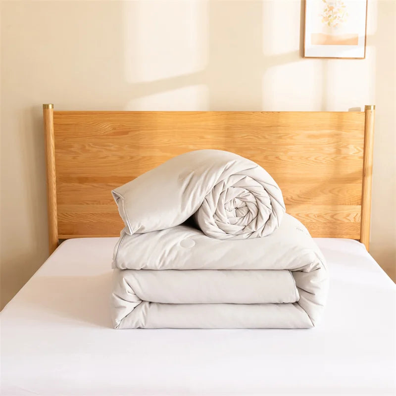 Natural Mulberry Silk Comforter - Four Seasons Bedding Quilt, Summer/Winter, Thin/Thick, Single/Double Hotel Blanket Duvet
