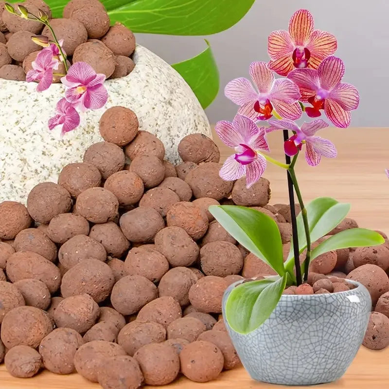 1LB Reusable Hydroponic Clay Pebbles - Lightweight Natural Clay Balls for Gardening & Plant Growing