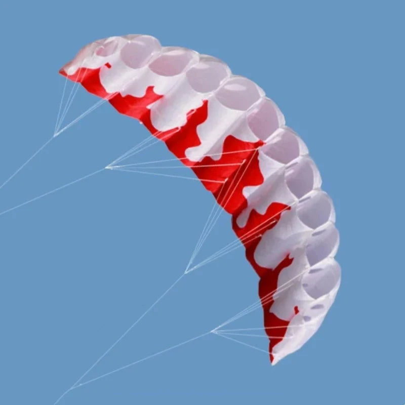 Beginner Dual Line Power Kite - Parafoil Parachute Stunt Kite for Adults and Kitesurf Sports