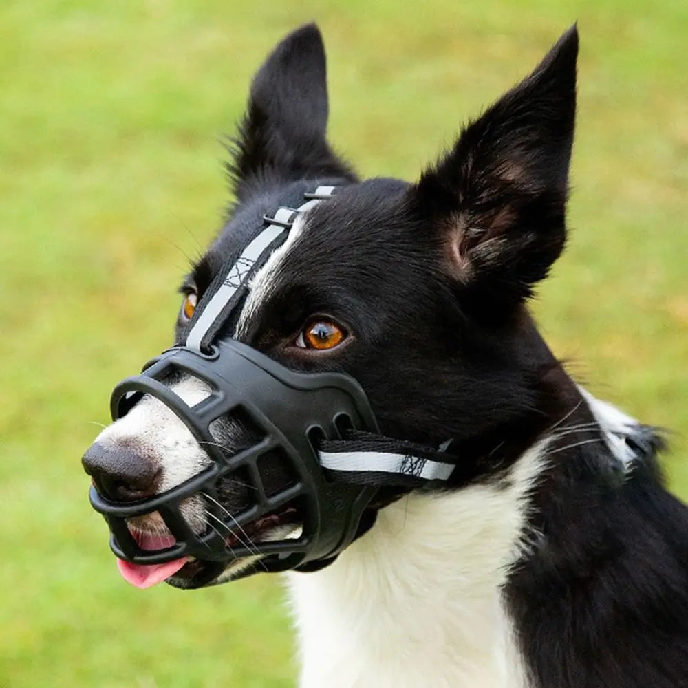 Adjustable Dog Muzzle with Reflective Strip – Anti-Biting Breathable Plastic Mouth Cover for Dogs