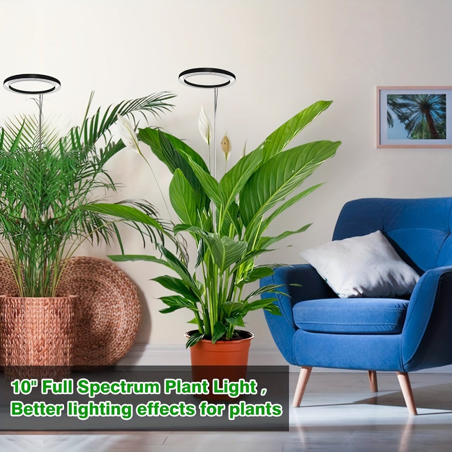 Adjustable LED Grow Light for Indoor Plants – 72 Full Spectrum LEDs, USB Powered, Auto Timer (3/9/12H), Height Adjustable (11.81-62.99in), Ideal for Tall Plants