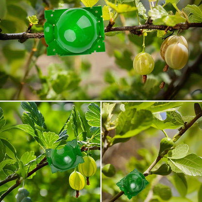 Tree Root Growing Box – High Pressure Plant Propagation Tool, Air Layering Pods and Grafting Ball Device for Plant Cuttings and Seedlings