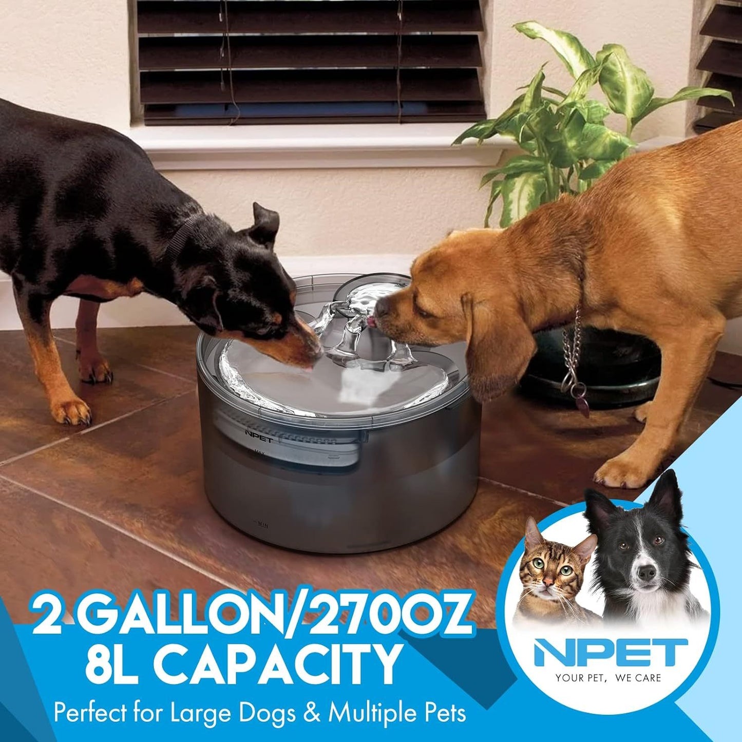 NPET DF30 Dog Water Fountain - 2 Gallon /270oz/8L Large Automatic Pet Water Bowl Dispenser, with Splatter Guard & Cleaning Kit, Ideal for Large Dogs and Multiple Pets
