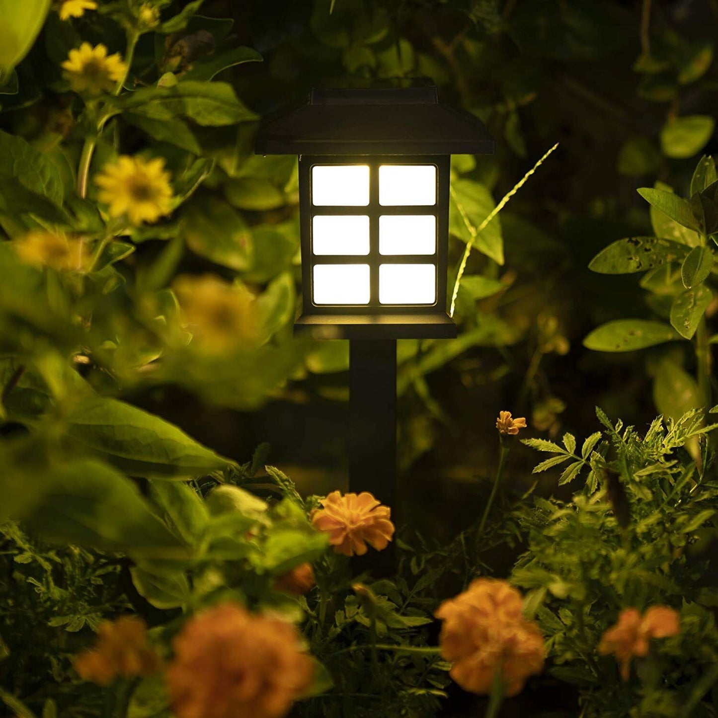12-Pack LED Solar Pathway Lights – Waterproof Outdoor Garden and Yard Lighting with Warm Glow