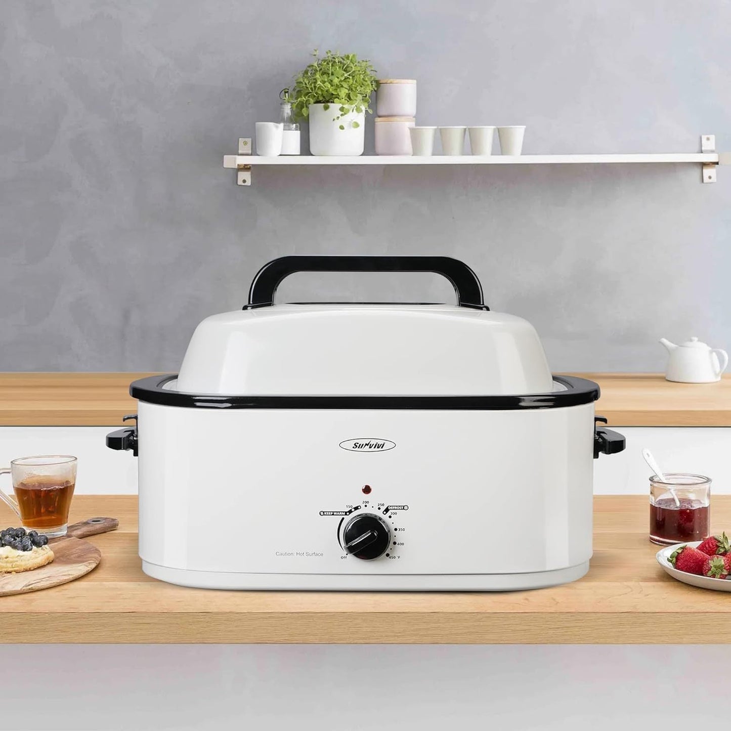 8QT Electric Roaster Oven - Large Capacity with Self-Basting Lid, Removable Pan & Rack, 150-450°F Temperature Control, Stainless Steel, Easy Clean Design
