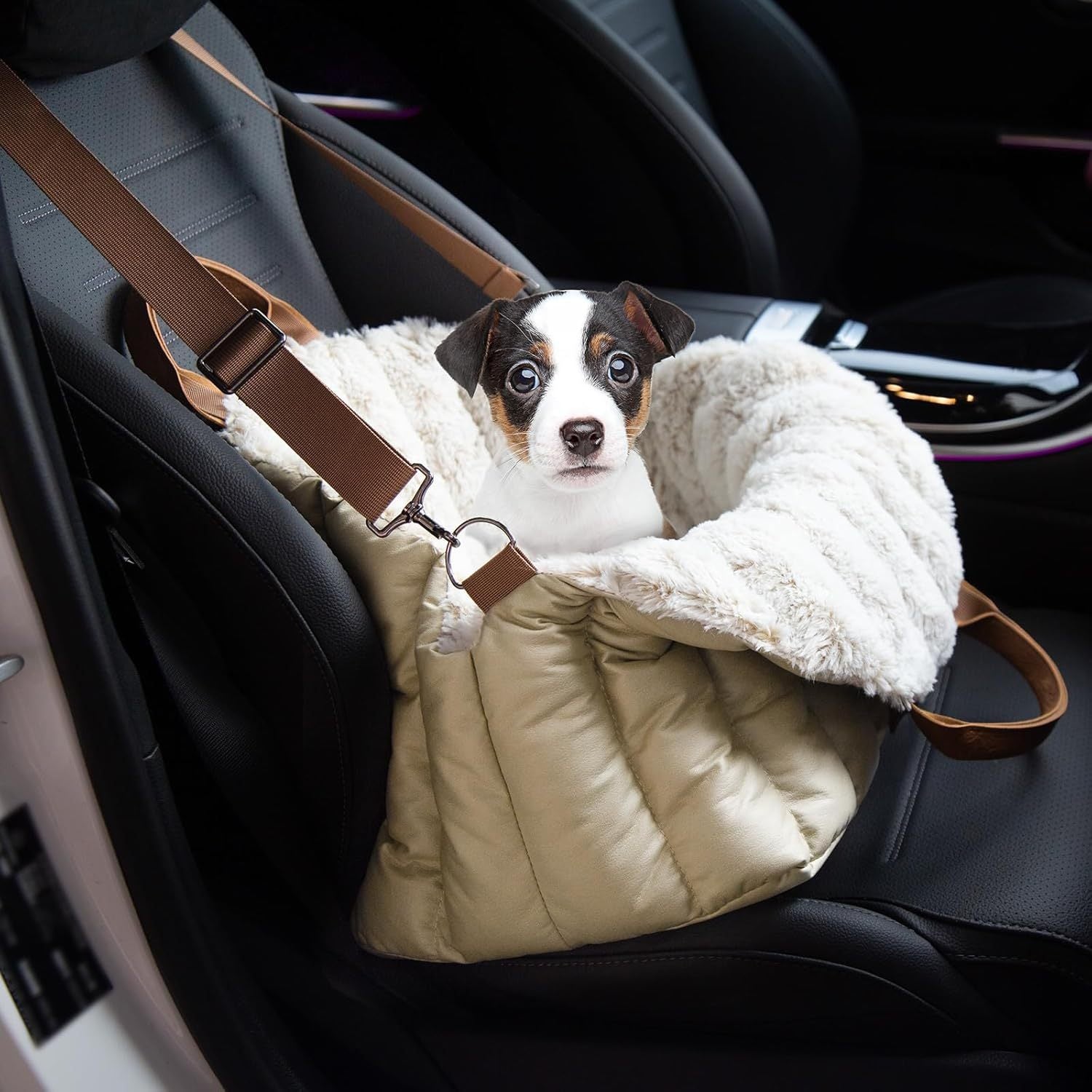 50501616828723