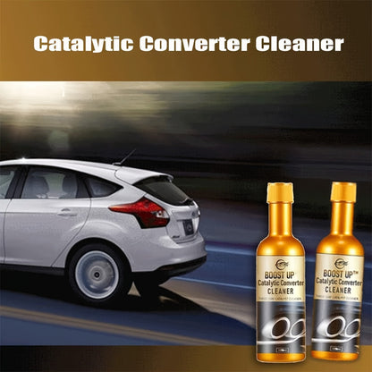 ProClean Fuel System Booster - Catalytic Converter and Engine Cleaner for Gasoline and Diesel Vehicles - Advanced Treatment Additive for Motorcycles and Powersports Maintenance