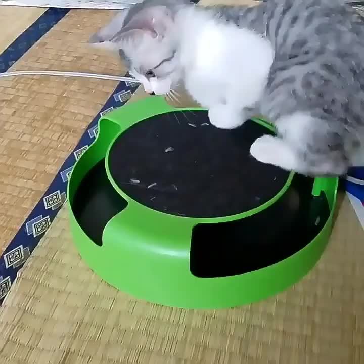 Cat Turntable Toy with Mouse Hunting and Top Scratch Board - Puzzle Amusement Plate for Fun and Interactive Play