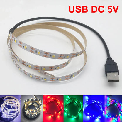 5M USB LED Strip Light – Waterproof 3528 SMD Ribbon in Warm/Cool White, Pink, Green, Blue, Red for Ceiling & Cabinet