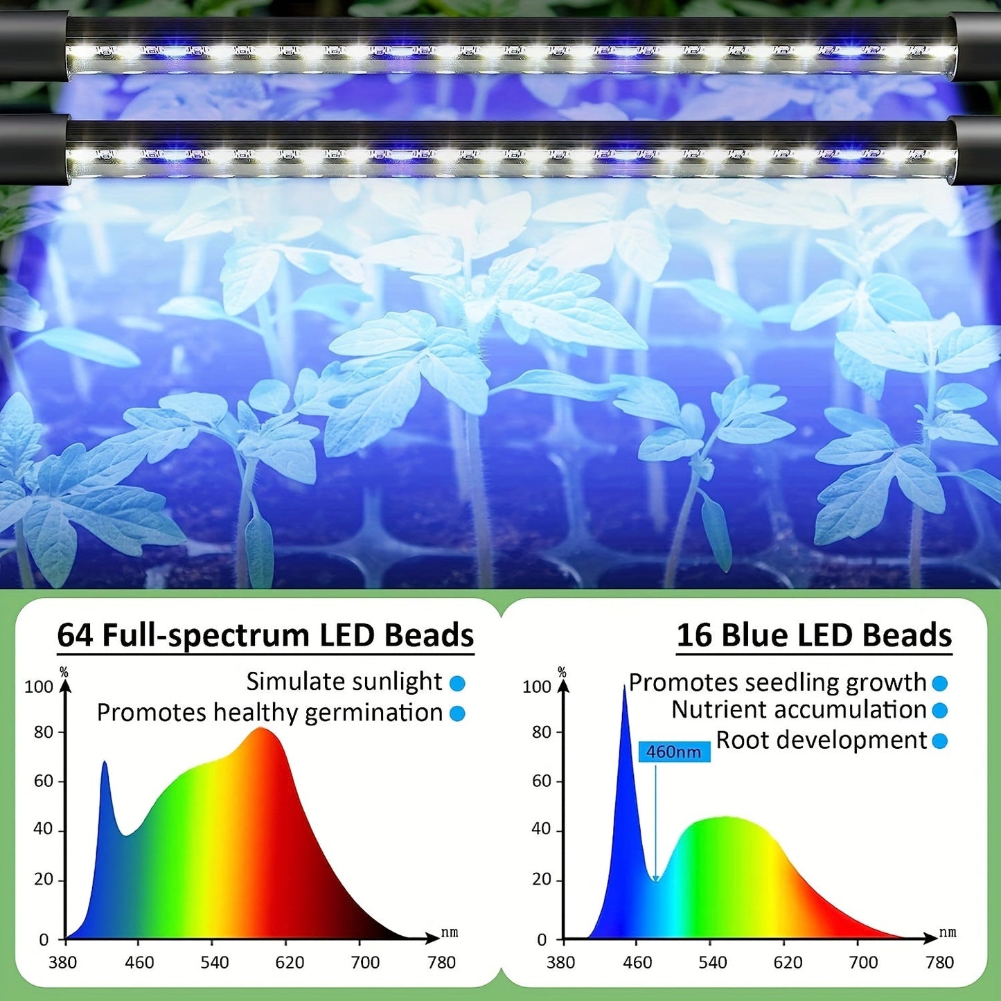 Seed Starter Trays Set with 2 Long Strip Grow Lights – 40-Cell Kit with Humidity Dome for Seed Germination, Seedling Starting, Propagation, and Cloning Plants