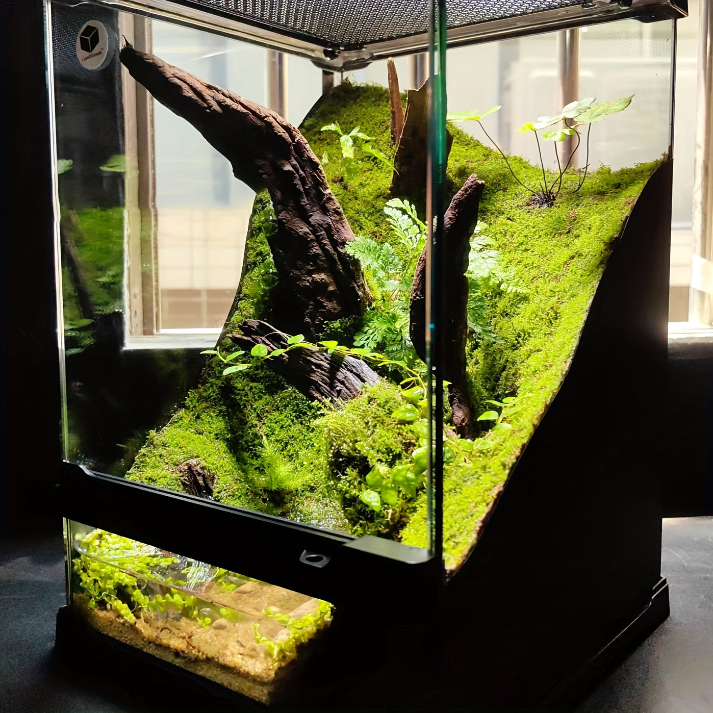 Living Moss Carpet with Moss Spore Powder - Immortal Micro Landscape Rockery Plants for Home and Garden
