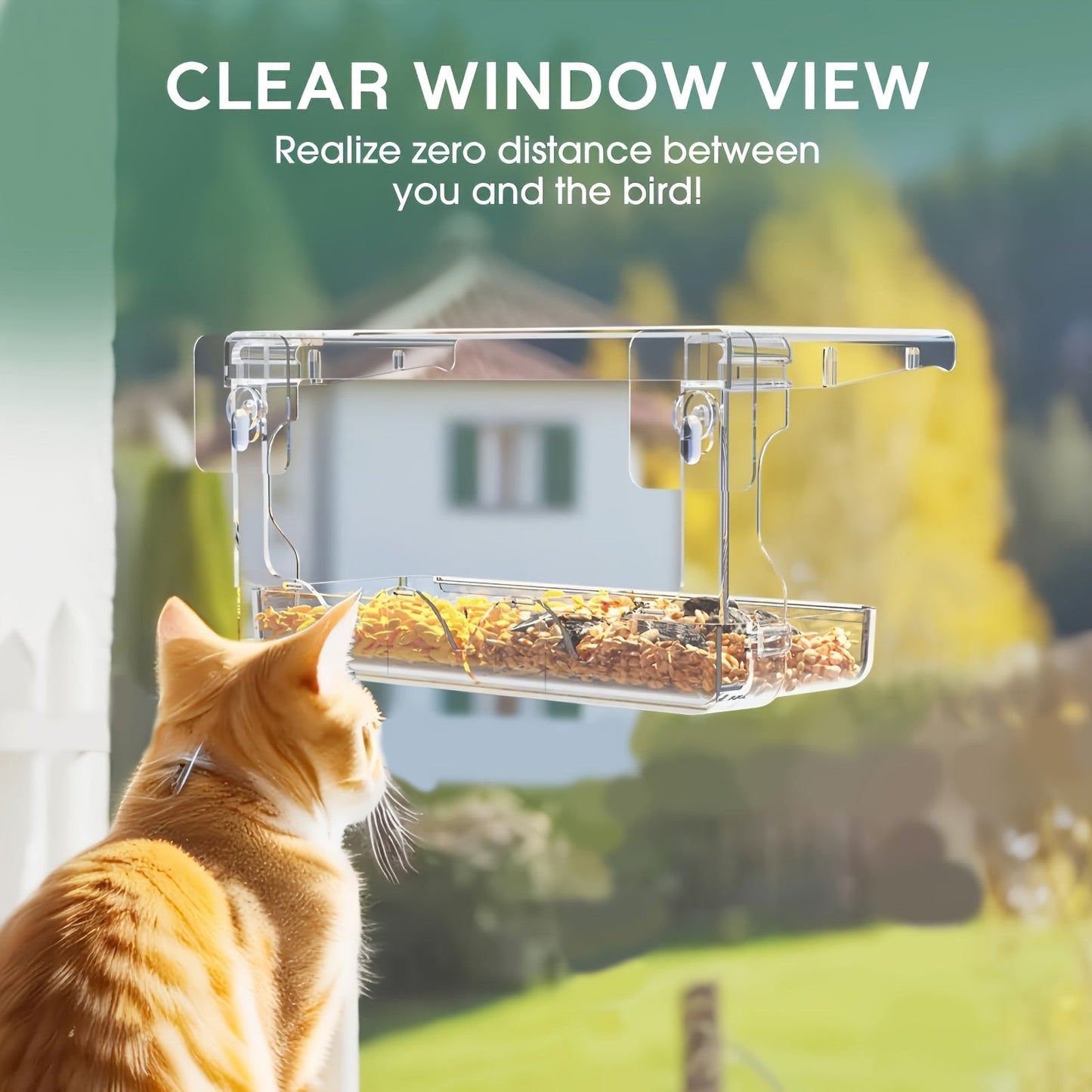 Vibrant Clear House Window Bird Feeder - Durable Hanging Seed Holder for Outdoor Bird Watching, Easy to Fill and Clean, Perfect for Backyard Wildlife Enthusiasts
