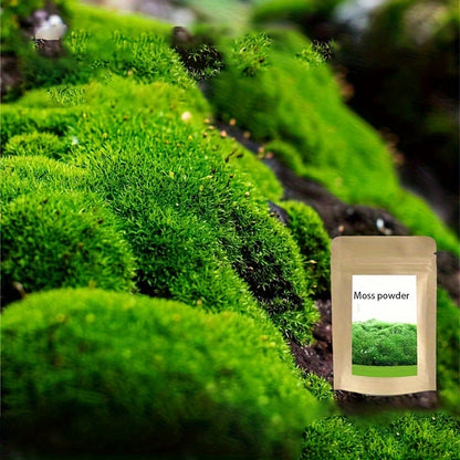 Living Moss Carpet with Moss Spore Powder - Immortal Micro Landscape Rockery Plants for Home and Garden