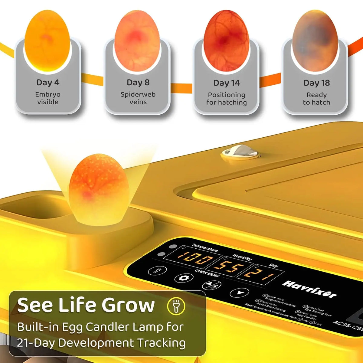 36–216 Egg Incubator - Fully Automatic Temperature, Water & Egg Turning for Chicken, Duck & Goose Eggs