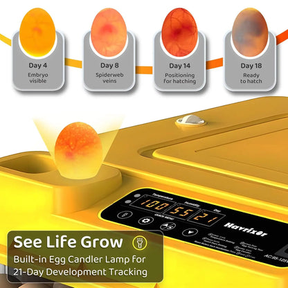 36–216 Egg Incubator - Fully Automatic Temperature, Water & Egg Turning for Chicken, Duck & Goose Eggs