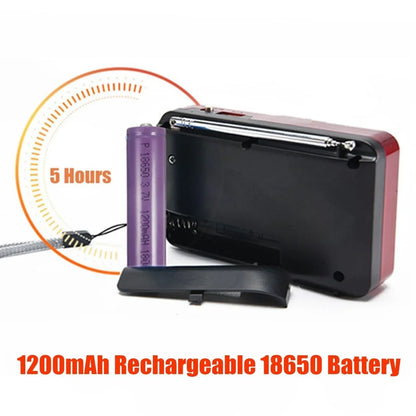 STONEGO Mini Portable Radio — Handheld Rechargeable Digital FM Radio with USB/TF MP3 Player, Speaker Device for On-the-Go Use