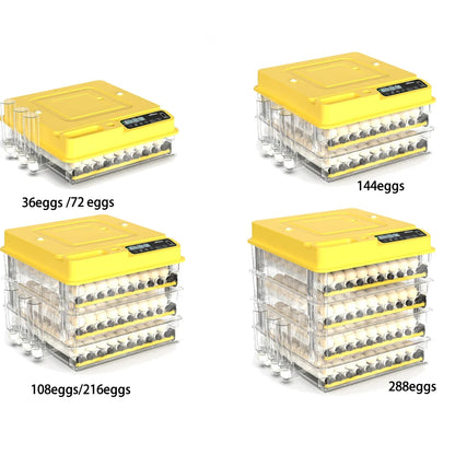 36–216 Egg Incubator - Fully Automatic Temperature, Water & Egg Turning for Chicken, Duck & Goose Eggs