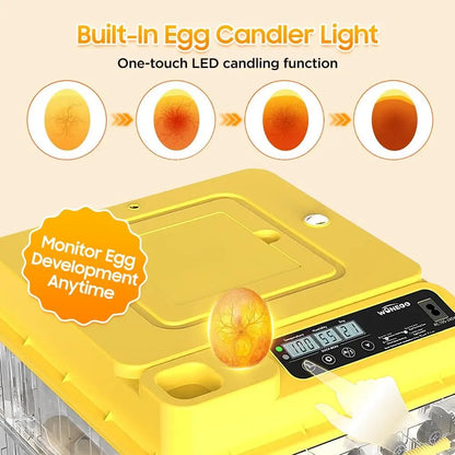 36–216 Egg Incubator - Fully Automatic Temperature, Water & Egg Turning for Chicken, Duck & Goose Eggs