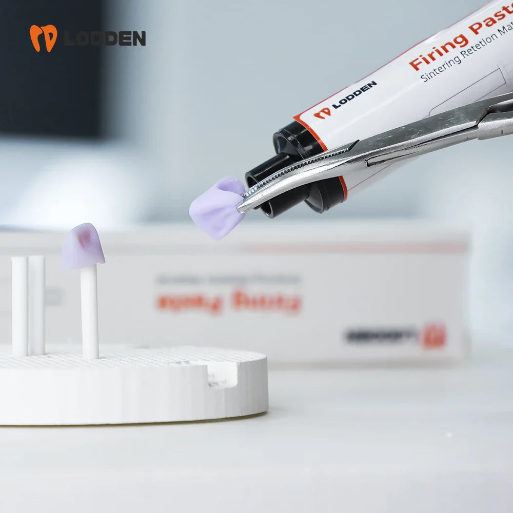LODDEN Dental Lab Firing Paste – Veneer, Crown & Bridge Fixing Material for Sintering Furnace Glazing Process