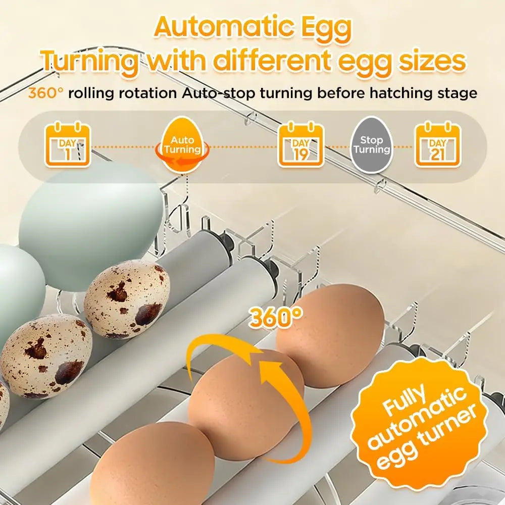 36–216 Egg Incubator - Fully Automatic Temperature, Water & Egg Turning for Chicken, Duck & Goose Eggs