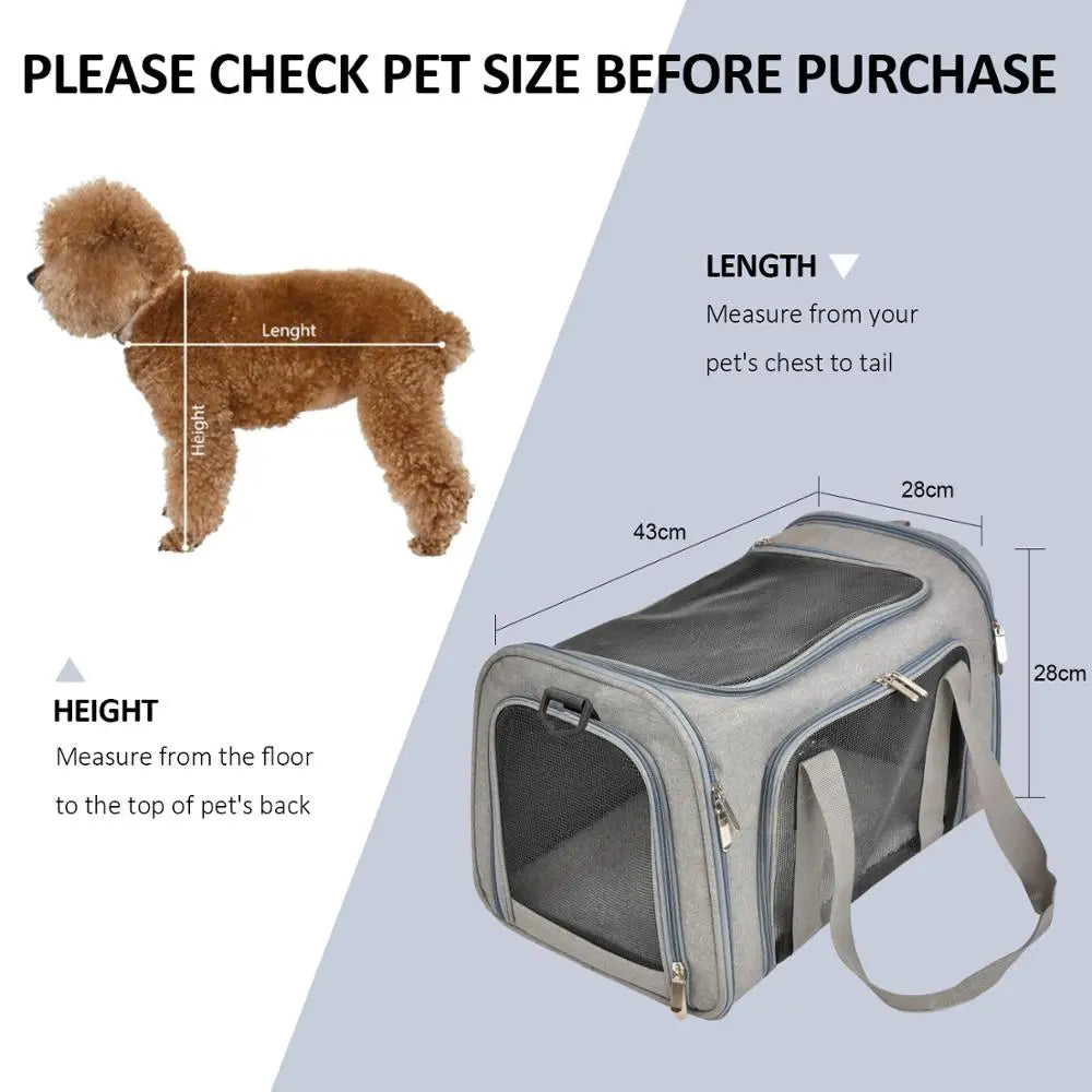 Soft-Sided Dog Carrier Backpack: Airline Approved Pet Travel Bag - Transport for Small Dogs and Cats, Outgoing Adventures