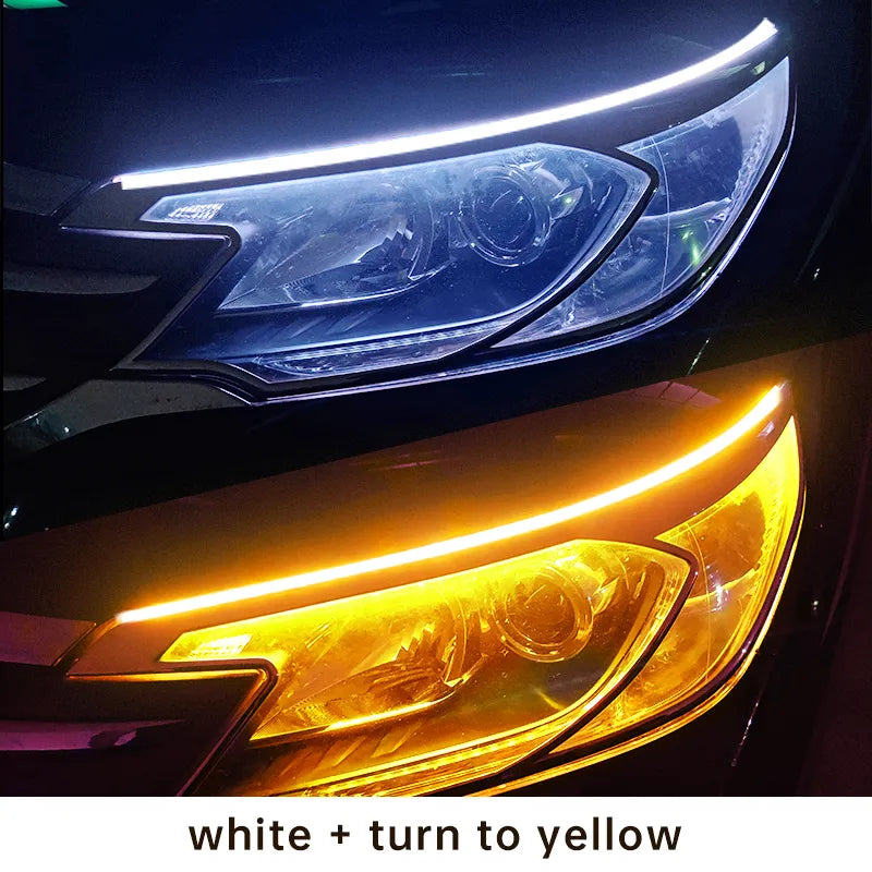 48074507419955|48074507452723|48074507485491