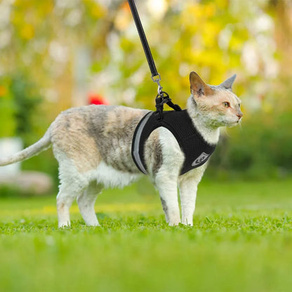 Breathable Cat Harness and Leash: Escape-Proof Pet Clothes Vest for Kitten, Puppy Dogs - Adjustable, Reflective, Easy Control