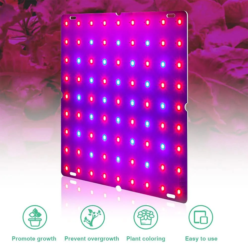 1000W/2000W LED Full Spectrum Plant Grow Light: Hydroponic Growing Lamp for Indoor Plants - Ultrathin Panel Design for Phyto Veg and Flower Growth