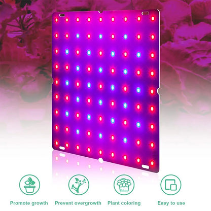 1000W/2000W LED Full Spectrum Plant Grow Light: Hydroponic Growing Lamp for Indoor Plants - Ultrathin Panel Design for Phyto Veg and Flower Growth