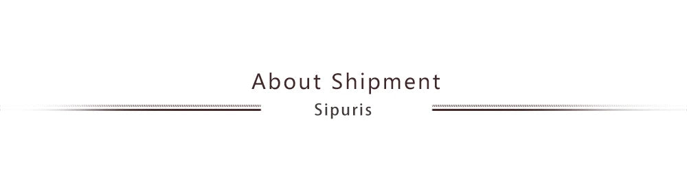 Sipuris Custom Name Brooch - Stainless Steel Trendy Pins for Women & Men, Nameplate Jewelry, Valentine's Day Gift