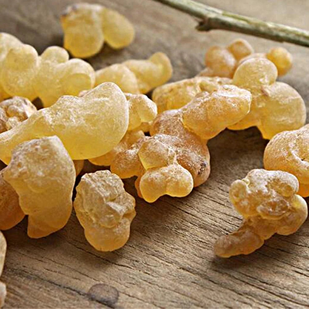 High-Quality Frankincense Incense Block – 20g Boswellia Nipple with Clean Aroma