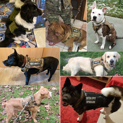 Tactical Dog Harness & Leash Set: Pet Training Vest for Small, Medium, and Large Dogs - Ideal for Walking and Hunting