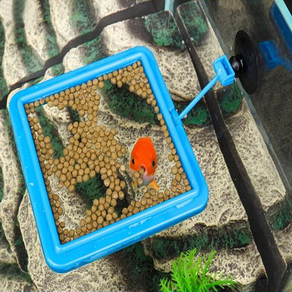 Aquarium Feeding Ring: New Floating Food Tray Station for Fish Tank, Square Circle Accessory with Water Plant Buoyancy Suction