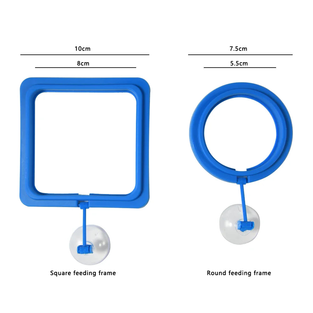 Aquarium Feeding Ring: New Floating Food Tray Station for Fish Tank, Square Circle Accessory with Water Plant Buoyancy Suction