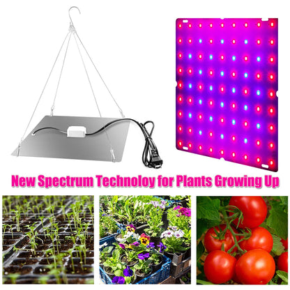 1000W/2000W LED Full Spectrum Plant Grow Light: Hydroponic Growing Lamp for Indoor Plants - Ultrathin Panel Design for Phyto Veg and Flower Growth