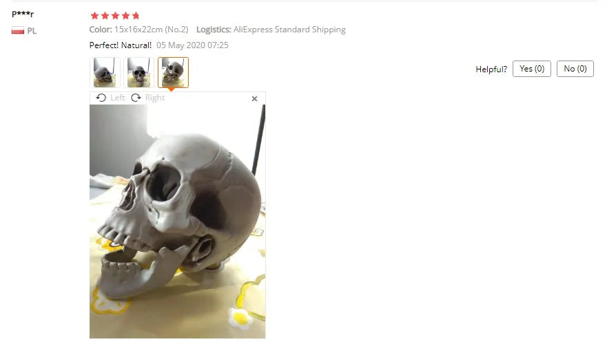 Plastic Skull Head Figurine — Scary Skeleton Decorative Statue for Halloween, Bar, Party & Home Decor