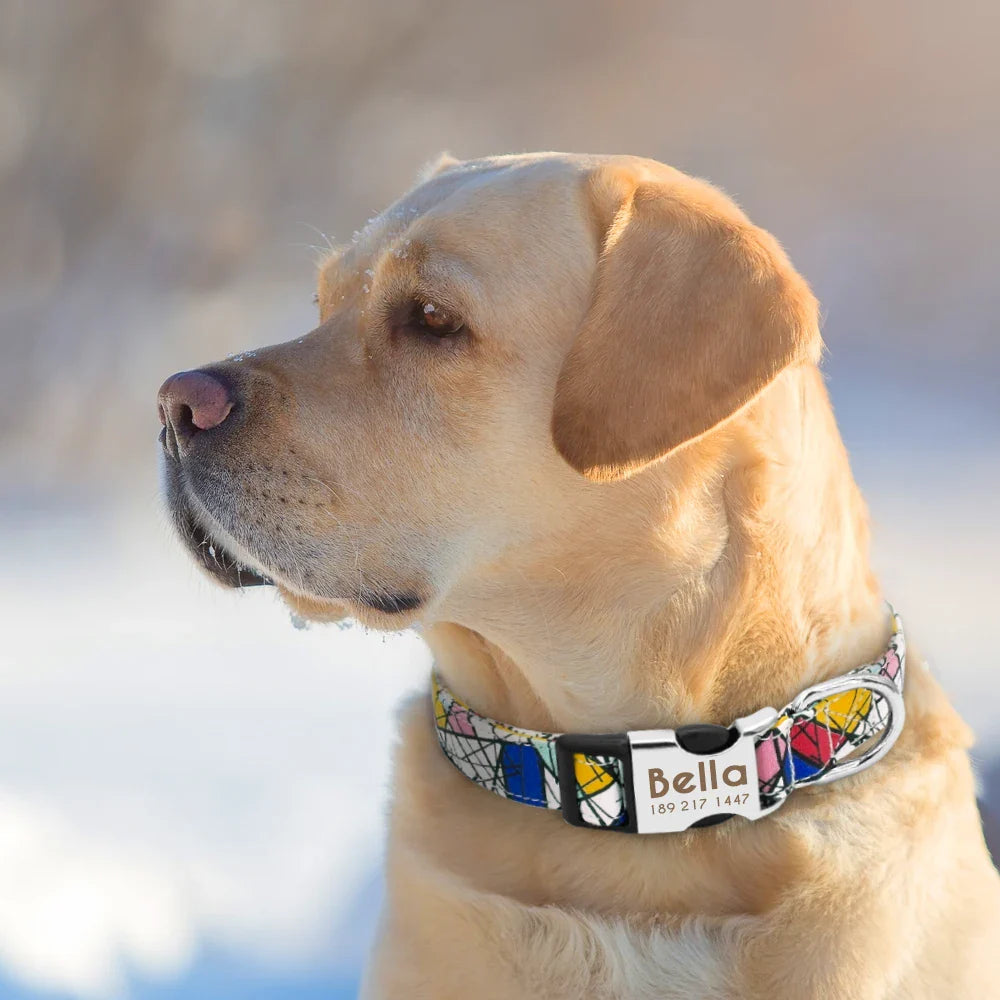 Adjustable Nylon Dog & Cat Collar – Personalized ID Collar with Engraved Name Buckle, Anti-Lost for Small, Medium & Large Pets